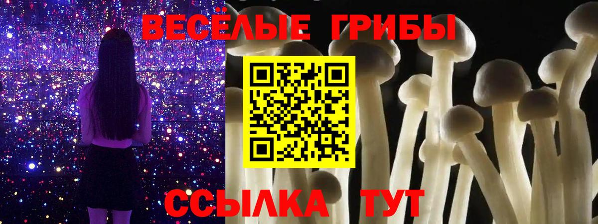 Строитель  Галлюциногенные грибы Psilocybine cubensis  Псилоцибиновые грибы мухоморы  Вход с VPN 