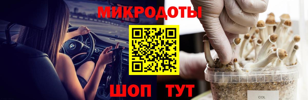 Псилоцибиновые грибы Cubensis Строитель
